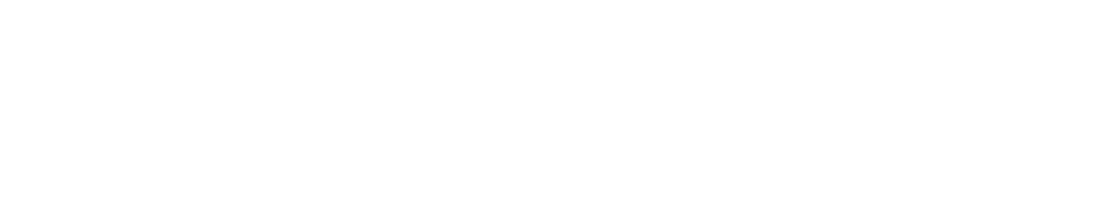 Speed Co.